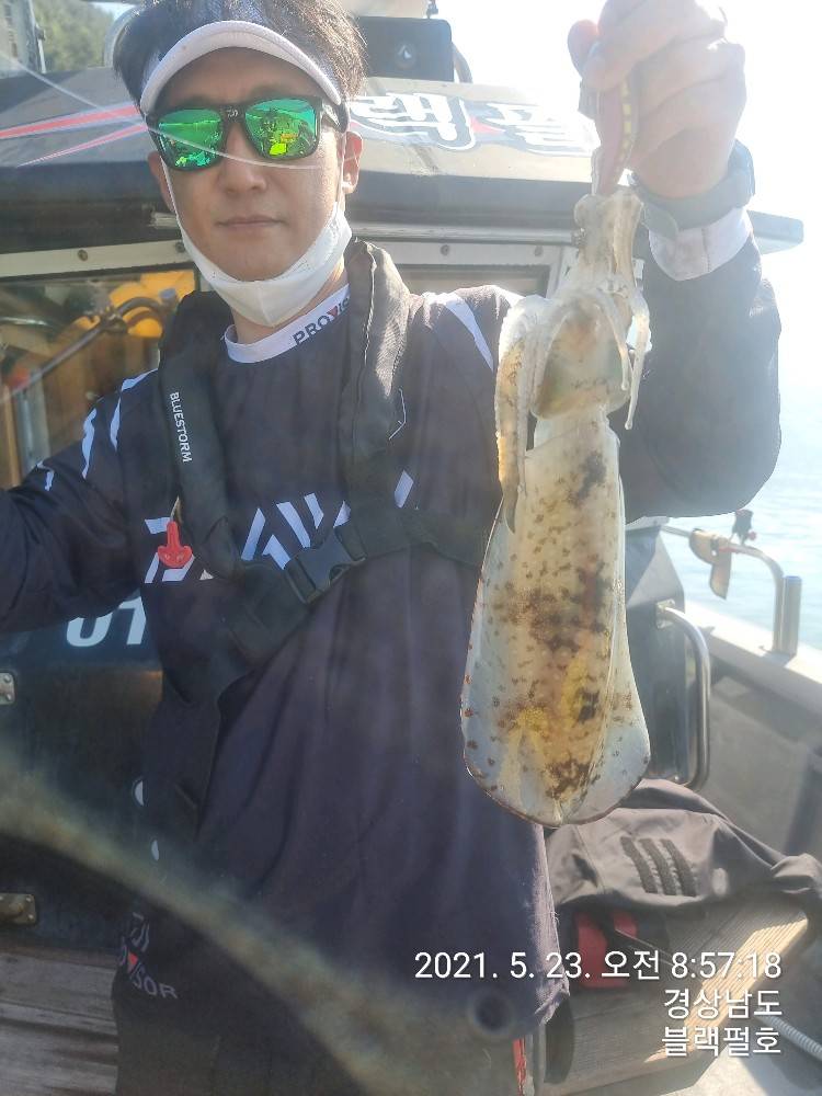 사진 4