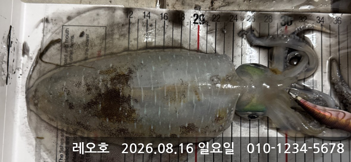 레오2호 3 사진