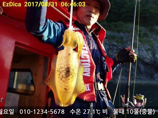 레오2호 통영 사진